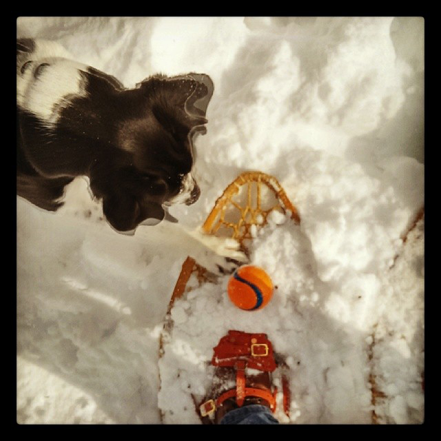140216 Chester snowshoe